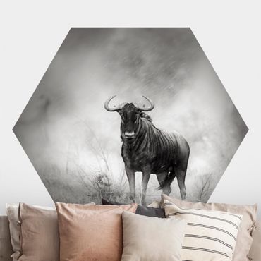 Hexagon Mustertapete selbstklebend - Staring Wildebeest