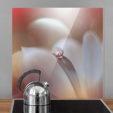 Spritzschutz Glas - Tautropfen auf rosa Blüte - Quadrat 1:1
