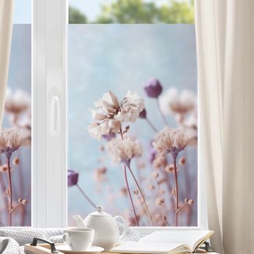 Fensterfolie - Sichtschutz - Trockenblumen Nahaufnahme - Fensterbilder