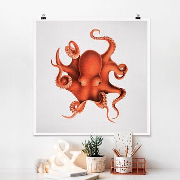 Poster - Vintage Illustration Roter Oktopus - Quadrat 1:1
