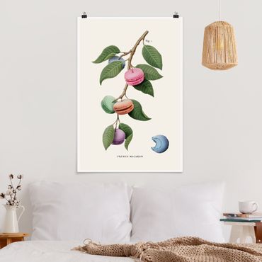 Poster - Vintage Pflanze - Macaron - Hochformat 2:3