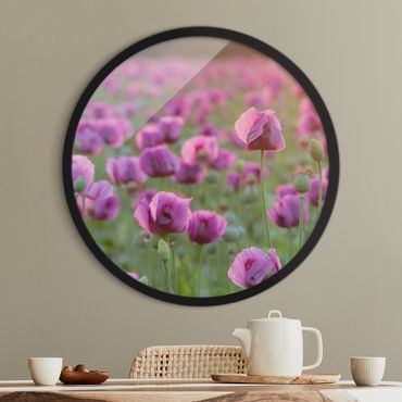 Rundes Gerahmtes Bild - Violette Schlafmohn Blumenwiese im Frühling