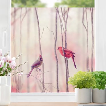 Fensterfolie - Sichtschutz - Vögel auf Zweigen - Fensterbilder