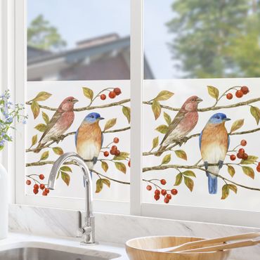 Fensterfolie - Sichtschutz - Vögel und Beeren - Hüttensänger - Fensterbilder