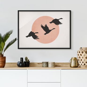 Bild mit Rahmen - Vögel vor rosa Sonne III - Querformat