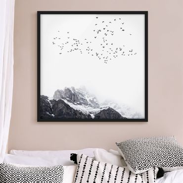 Bild mit Rahmen - Vogelschwarm vor Bergen Schwarz Weiß - Quadrat