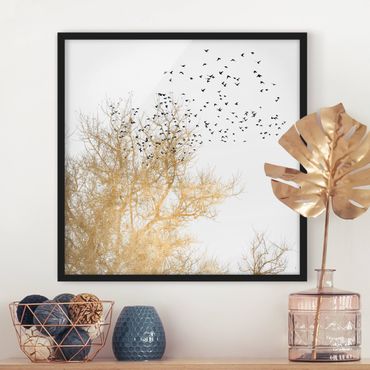Bild mit Rahmen - Vogelschwarm vor goldenem Baum - Quadrat