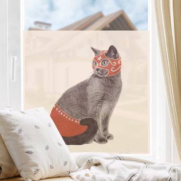 Fensterfolie - Sichtschutz - Wrestling Cat - Fensterbilder
