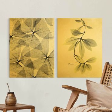 Leinwandbild 2-teilig - X-Ray - Dreiecksklee und Porzellanblumenblätter