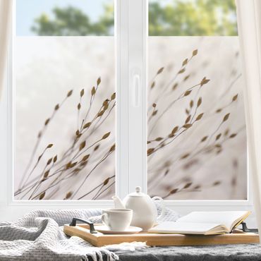Fensterfolie - Sichtschutz - Zarte Gräser im Windschatten - Fensterbilder