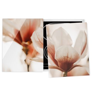 Herdabdeckplatte Glas - Zarte Magnolienblüten im Lichtspiel