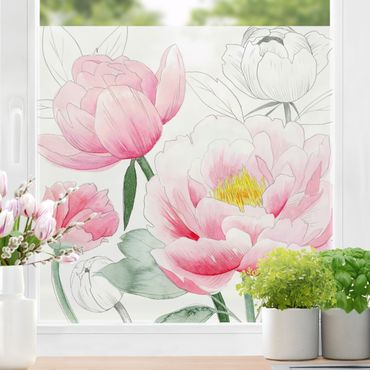 Fensterfolie - Sichtschutz - Zeichnung Rosa Päonien I - Fensterbilder