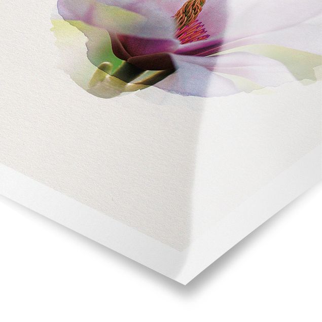 Poster - Wasserfarben - Zarte Magnolienblüte - Hochformat 4:3