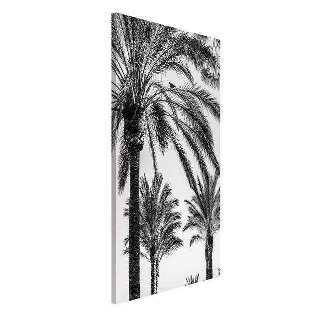 Magnettafeln Blumen Palmen im Sonnenuntergang Schwarz-Weiß