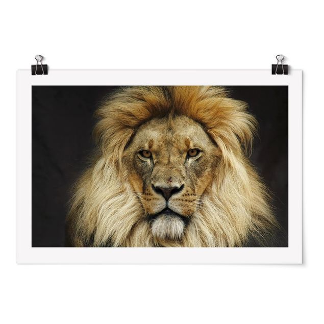 Moderne Poster Wisdom of Lion