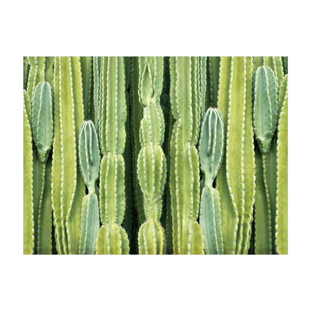 Teppich grün Kaktus Wand