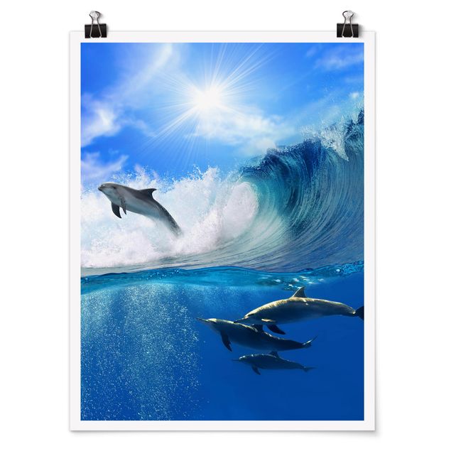 Tierposter Playing Dolphins