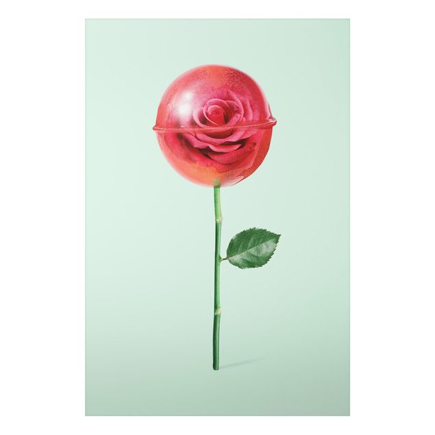 schöne Bilder Rose mit Lollipop