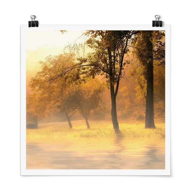 Wald Poster Herbstmorgen