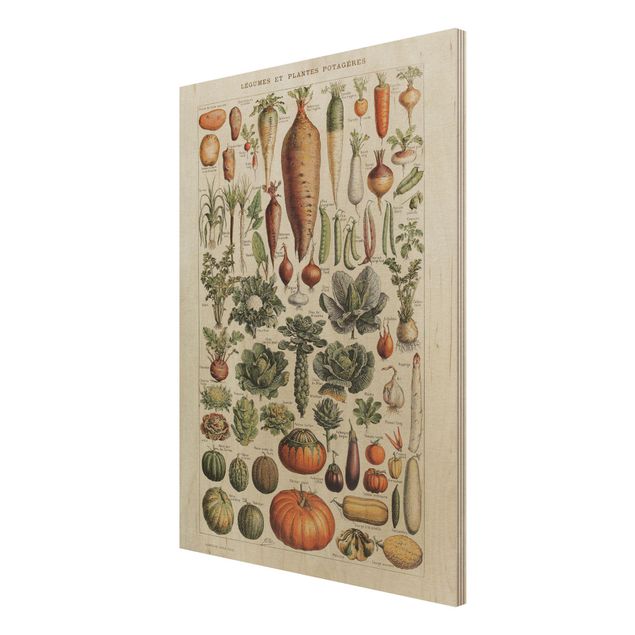 Wandbild Holz Vintage Lehrtafel Gemüse