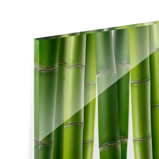 Spritzschutz Glas - Bambuspflanzen - Panorama - 5:2