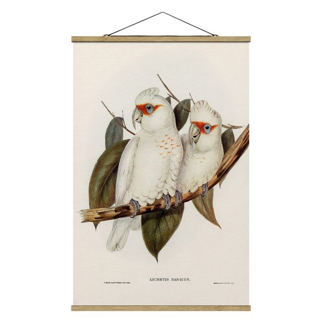 Stoffbild mit Posterleisten - Vintage Illustration Weißer Kakadu - Hochformat 2:3