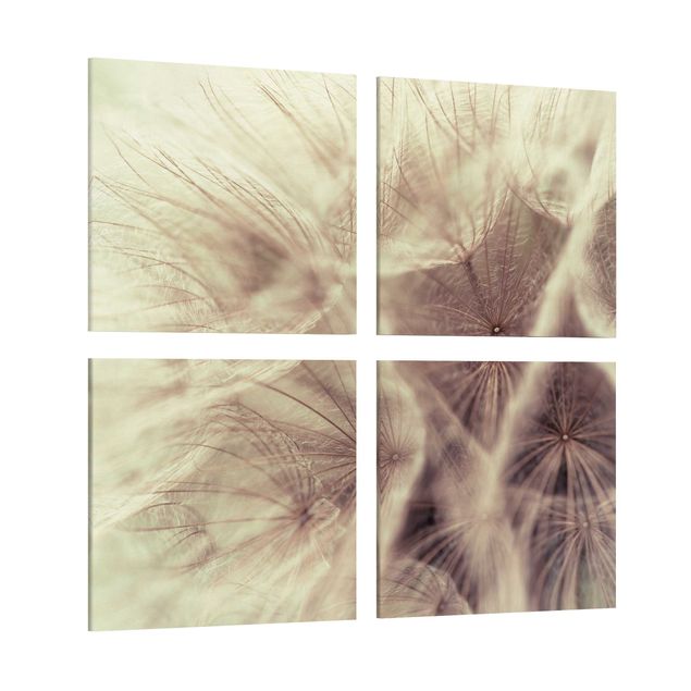 Leinwandbild 4-teilig - Detailreiche Pusteblumen Makroaufnahme mit Vintage Blur Effekt