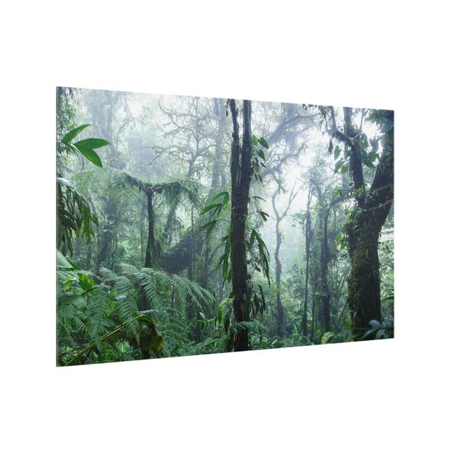 Matteo Colombo Bilder Monteverde Nebelwald