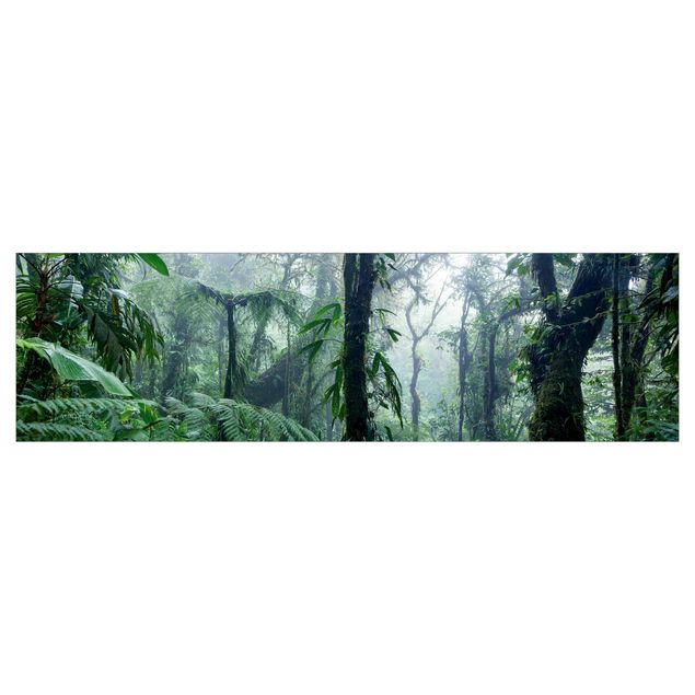 Spritzschutz Küche ohne bohren Monteverde Nebelwald