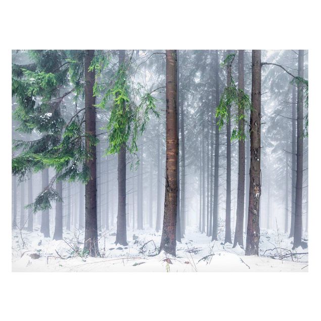 Magnettafel - Nadelbäume im Winter - Querfromat 4:3