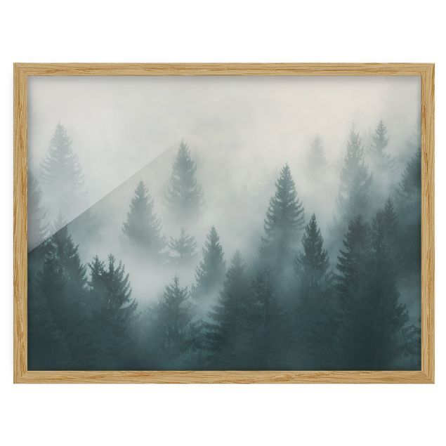 Wandbilder mit Rahmen Nadelwald im Nebel