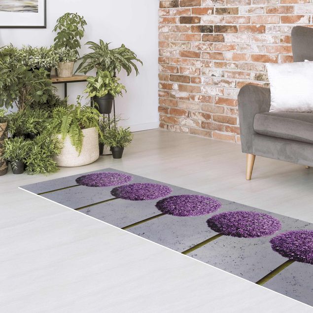 Teppichläufer Allium Kugel-Blüten