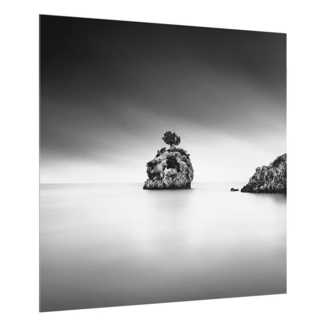Spritzschutz Natur Felseninsel im Meer Schwarz-Weiß