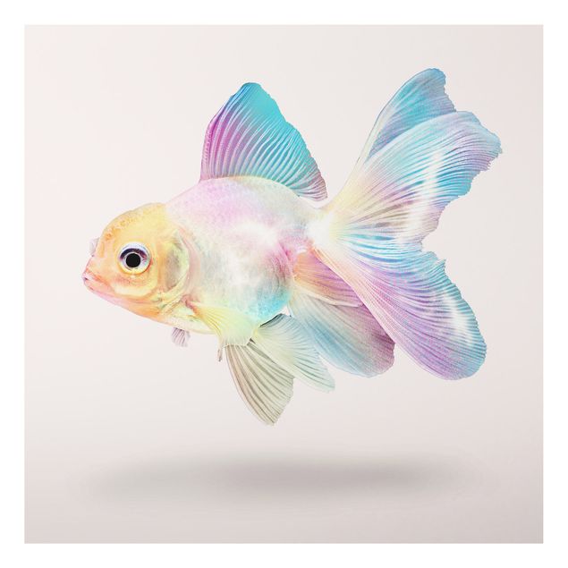 schöne Bilder Fisch in Pastell