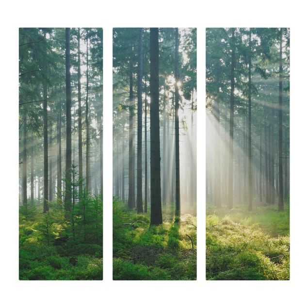 Leinwandbild 3-teilig - Enlightened Forest - Panoramen hoch 1:3