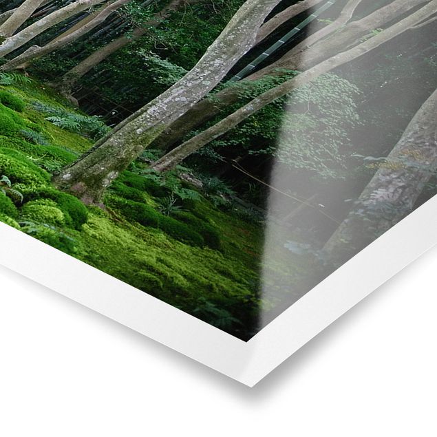 Poster - Japanischer Wald - Panorama Querformat