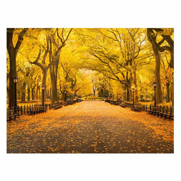 Magnettafel - Herbst im Central Park - Querfromat 4:3