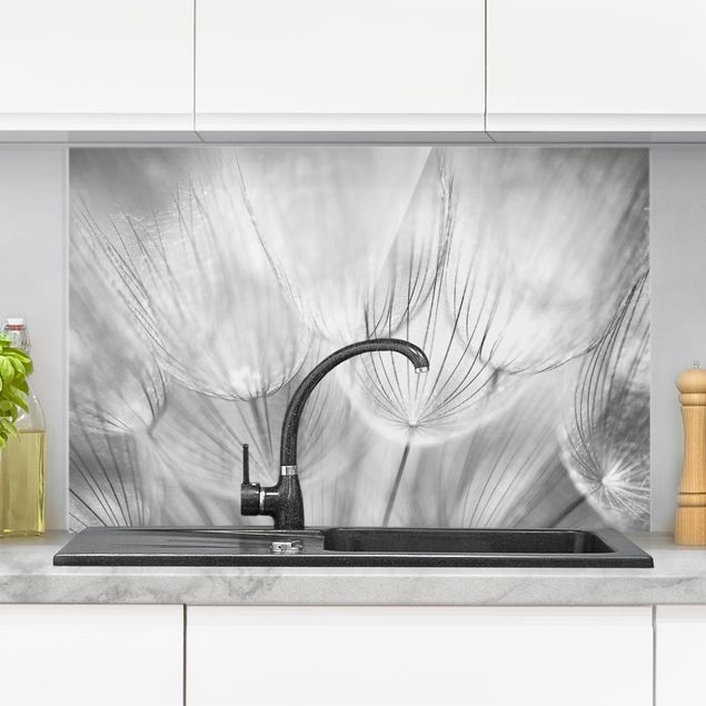 Spritzschutz Küche Glas Pusteblume Pusteblumen Makroaufnahme in schwarz weiß