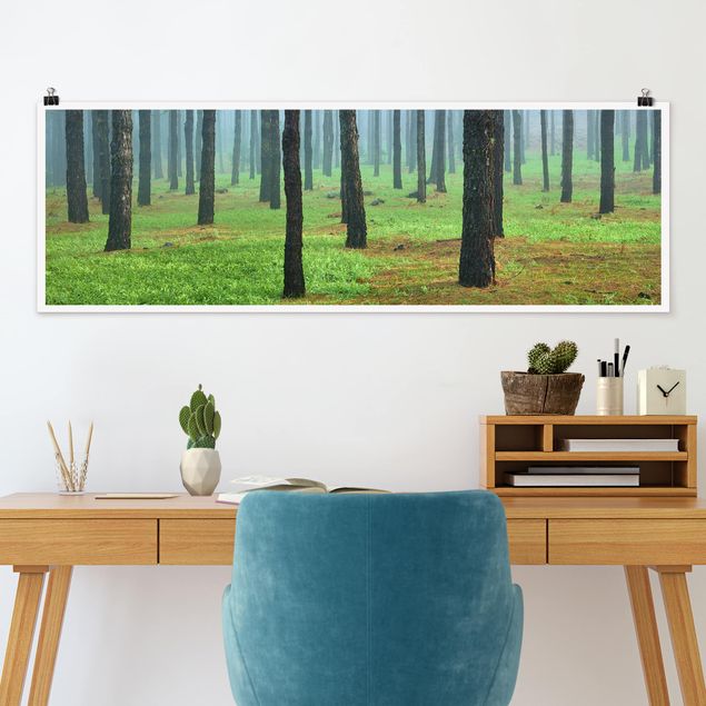 XXL Poster Tiefer Wald mit Kiefern auf La Palma