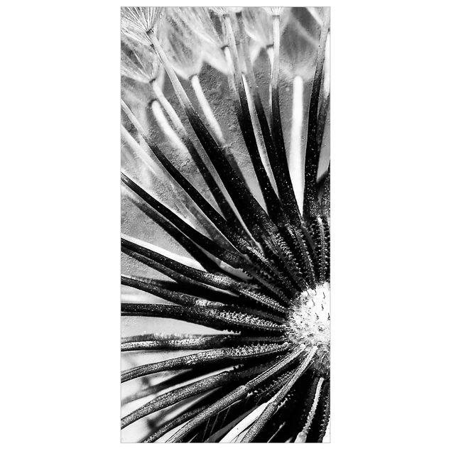 Raumteiler - Pusteblume Schwarz & Weiß 250x120cm