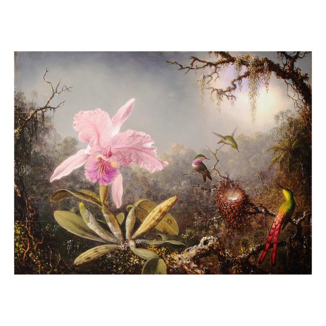 Alu Dibond Druck Martin Johnson Heade - Orchidee und drei Kolibris