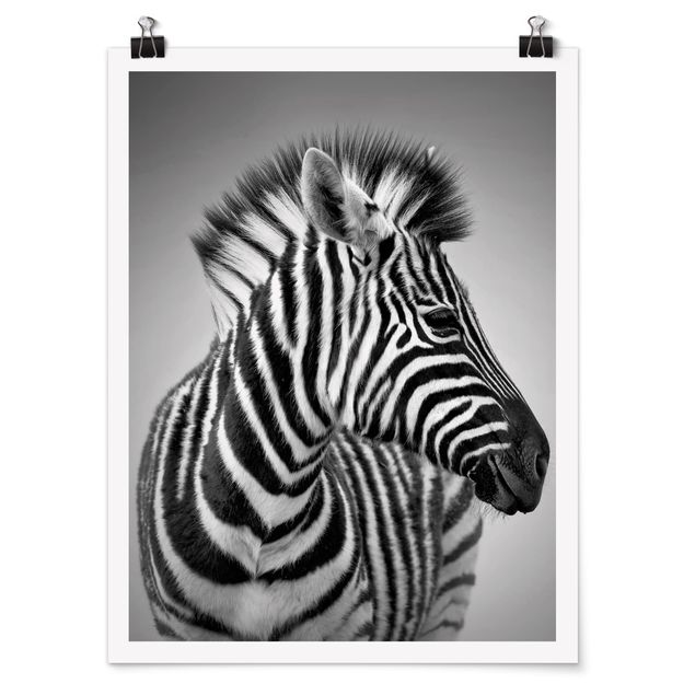 schöne Bilder Zebra Baby Portrait II