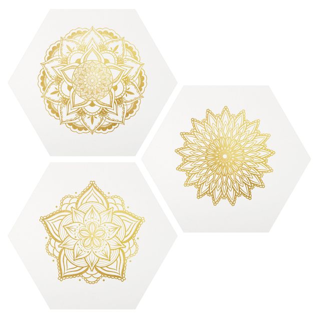 Hexagon Bild Forex 3-teilig - Mandala Blüte Sonne Illustration Set Gold