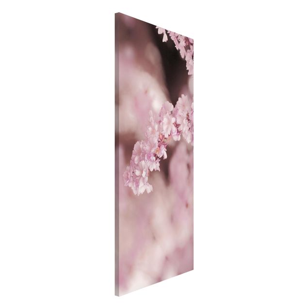 Magnettafel - Kirschblüte im Violetten Licht - Panorama Hochformat