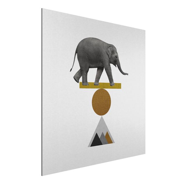 Alu-Dibond - Balancekunst Elefant - Quadrat