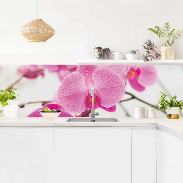 Küchenrückwand - Nahaufnahme Orchidee