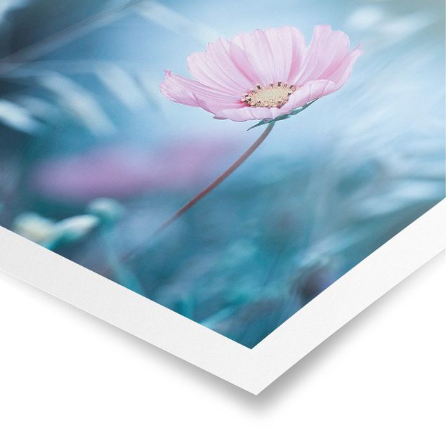 Poster bestellen Blüte in Pastell