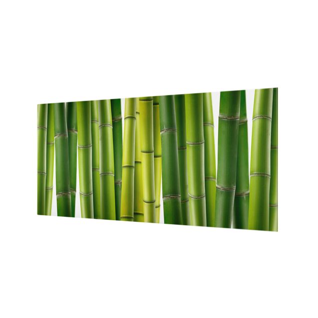 Spritzschutz Glas - Bambuspflanzen - Querformat - 2:1