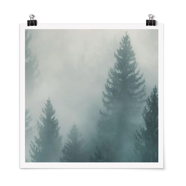 Poster - Nadelwald im Nebel - Quadrat 1:1