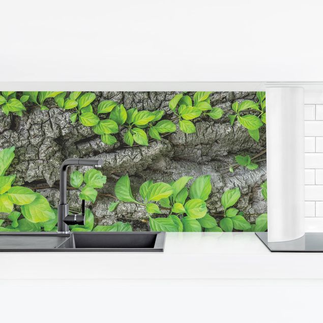 Küchenrückwand selbstklebend Efeuranken Baumrinde